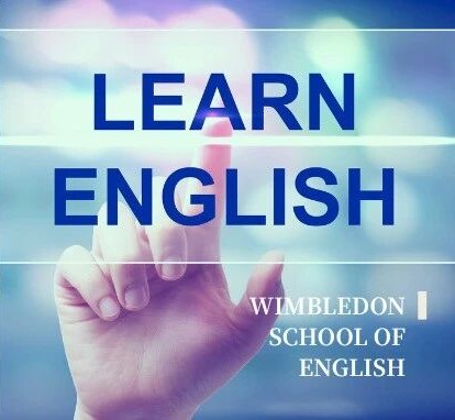 开启一场从语言学习到理解世界的成长之旅
